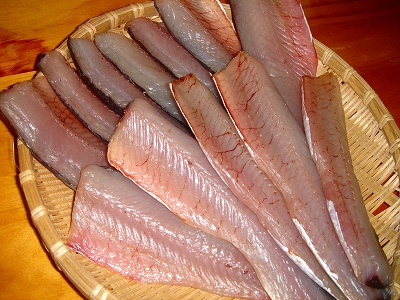 2007.4 028.jpg