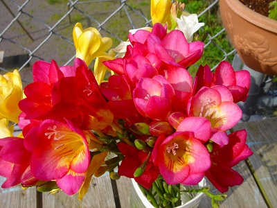 2007.4 031.jpg