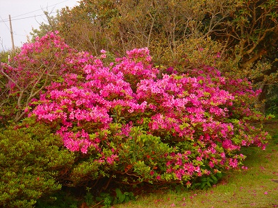 2007.4 052.jpg