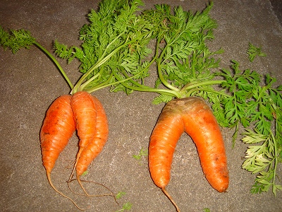 2007.4 058.jpg