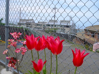 2007.4 133.jpg