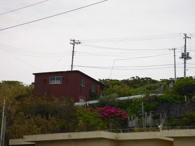 2007.4 166.jpg