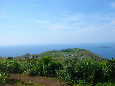 2007.430 001.jpg