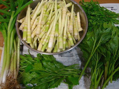2007.430 009.jpg