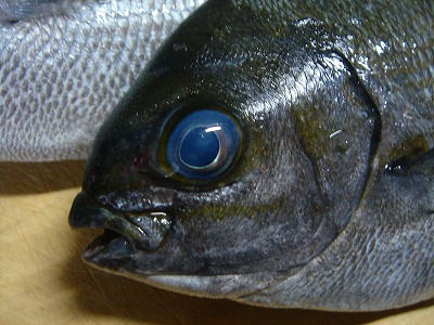 2007.5 000003.jpg