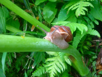 2007.5 0003.jpg