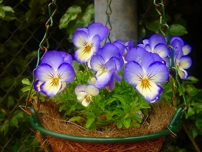 2007.5 003.jpg