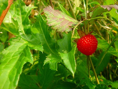 2007.5 003.jpg