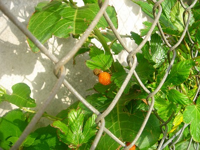 2007.5 013.jpg