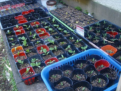 2007.5 022.jpg