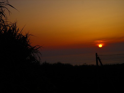2007.5 029.jpg