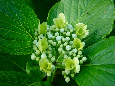 2007.5 038.jpg