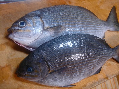 2007.6.25 021.jpg