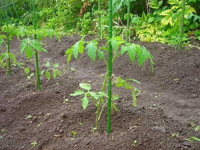 2007.6 013.jpg