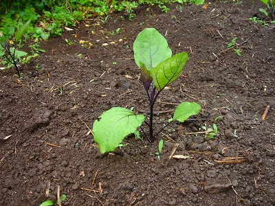 2007.6 008.jpg