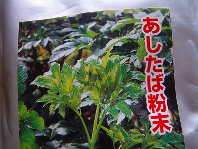 2007.6 0090.jpg