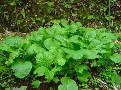 2007.6 013.jpg