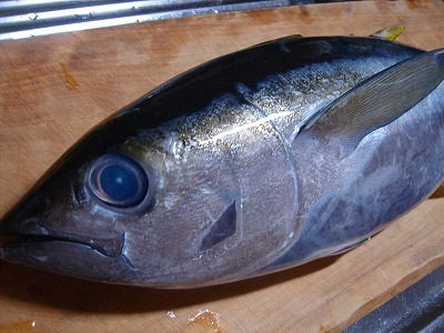 2007.6 021.jpg