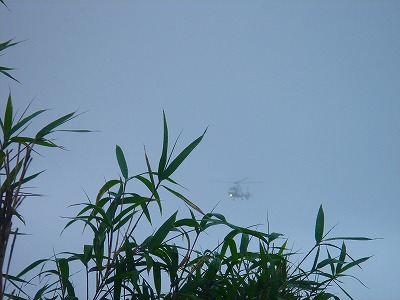2007.6 037.jpg