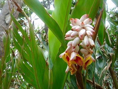 2007.6 049.jpg