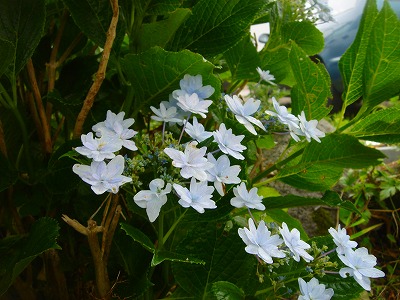 2007.6 22 023.jpg