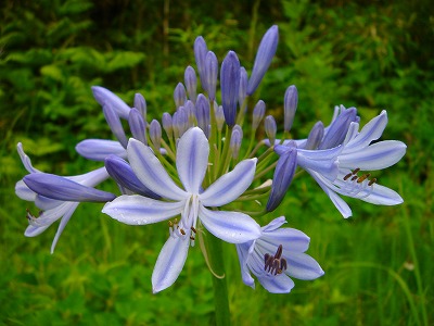 2007.6 22 028.jpg