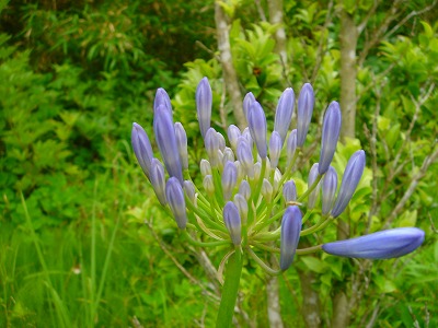 2007.6 22 035.jpg