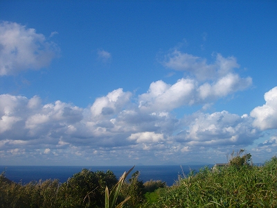 2008-02--8 034.jpg