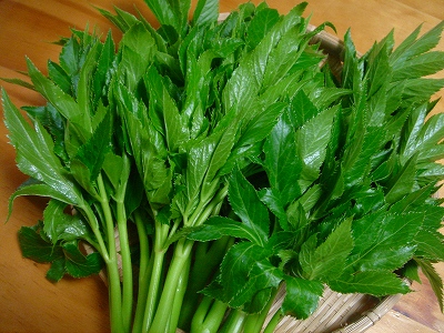 2008-02-17 066.jpg