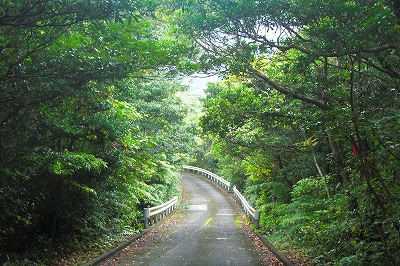 2008-10-12 004.jpg