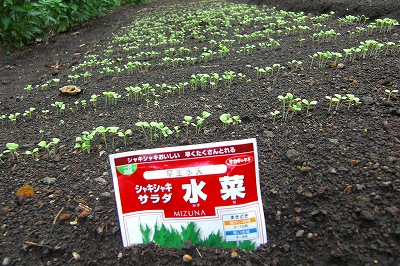 2008-10-12 014.jpg