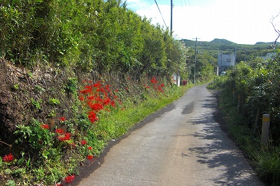 2008-10-2 009.jpg