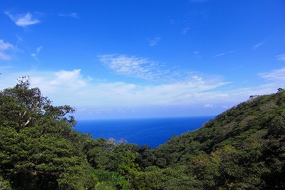 2008-10-26 003.jpg