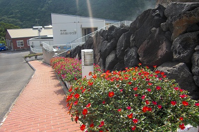 2008-10-26 010.jpg