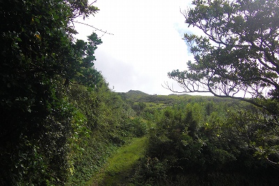 2008-10-9 005.jpg