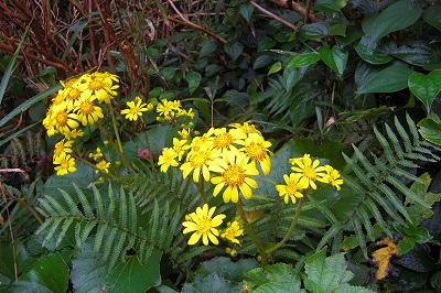 2008-11-14 025.jpg