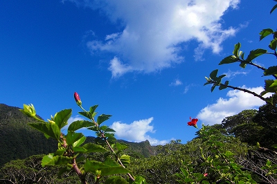 2008-11-21 034.jpg