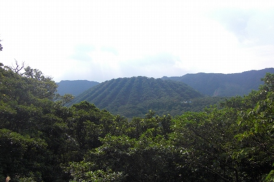 2008-11-2 001.jpg