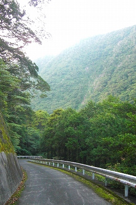 2008-11-2 012.jpg
