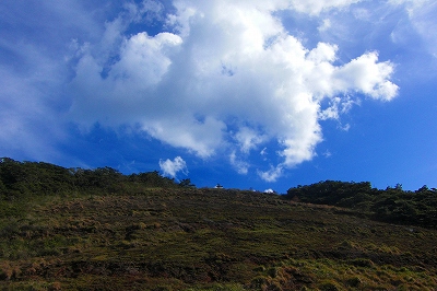 2008-11-26 018.jpg