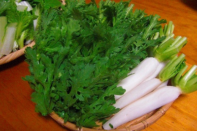 2008-11-26 039.jpg