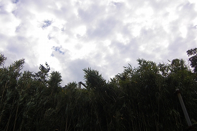2008-11-28 030.jpg