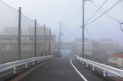 2008-11-7 003.jpg