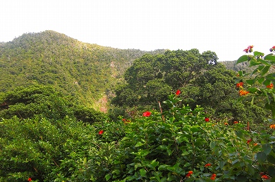 2008-12-15 008.jpg