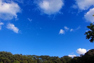 2008-12-18 009.jpg