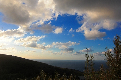 2008-12-22 013.jpg