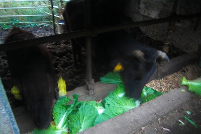 2008-12-26 030.jpg