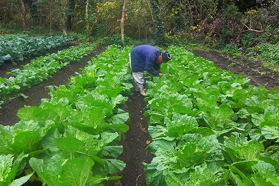 2008-12-30 010.jpg