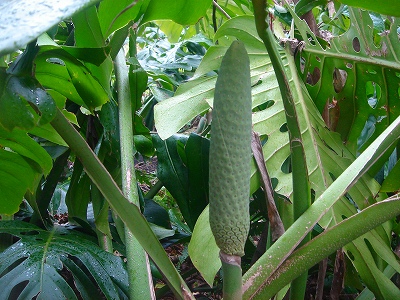 2008-2-21 022.jpg