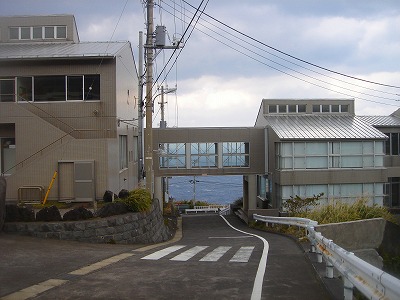 2008-2-27 020.jpg